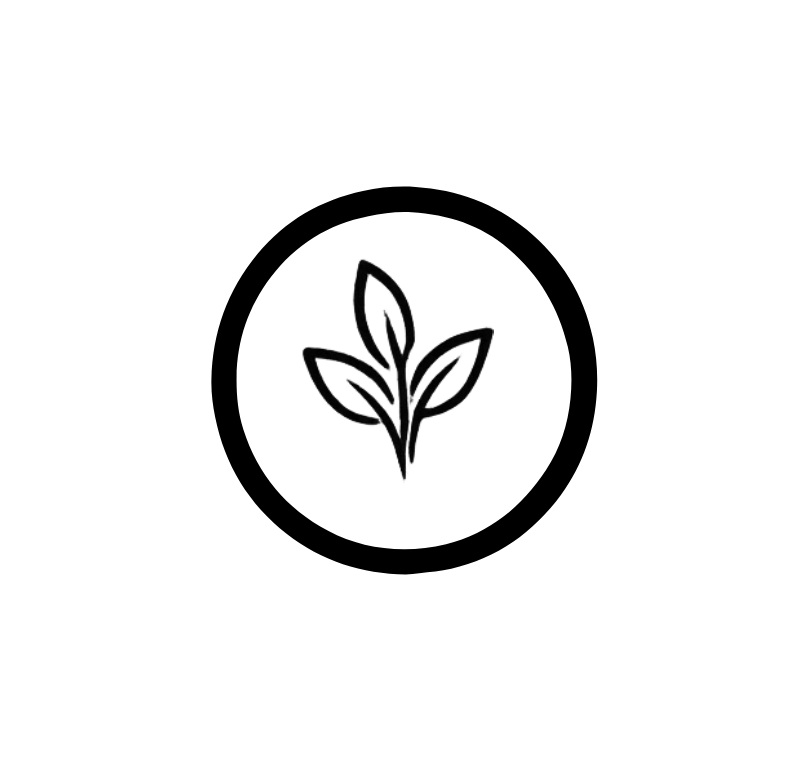 REGENERATIVE AESTHETICS